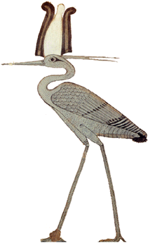 Picture of the Bennu bird